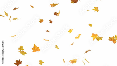 Falling autumn leaves backgrounds - isolated and loopable