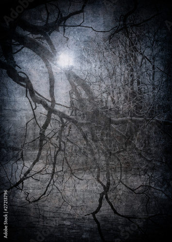 grunge image of dark forest, perfect halloween background