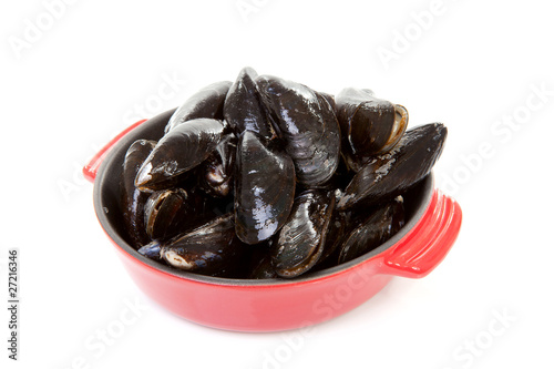 raw uncooked mussels over white background