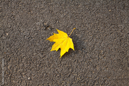 Autumn - One yellow leaf on the street