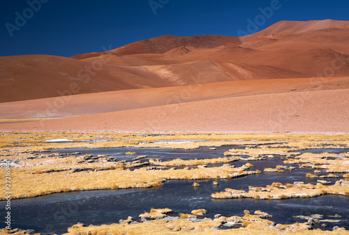 frozen lagoon in Atacama desert  Chile