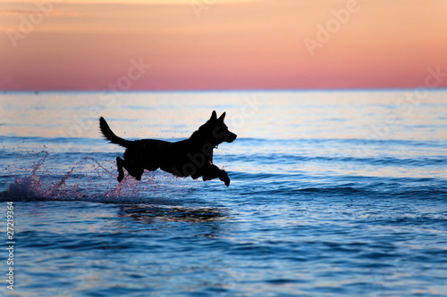 Silhouette of a dog running on water against horizon