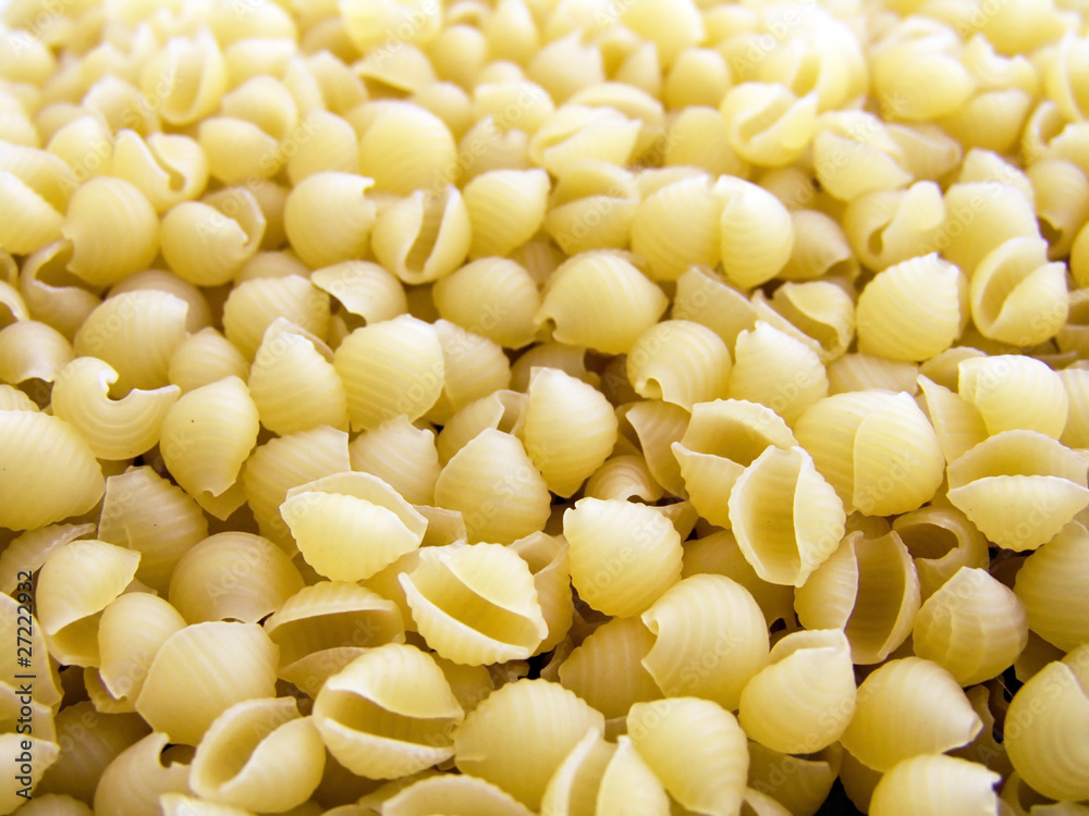 pasta cockleshell macro pasta cockleshell macro