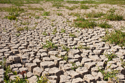 Global warming concept of cracked ground