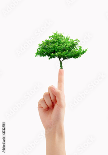 Tree on finger .