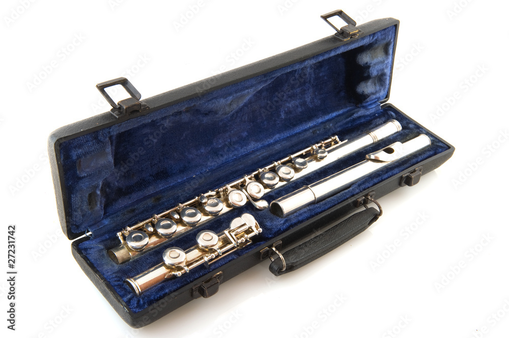 Naklejka premium Black case with flute