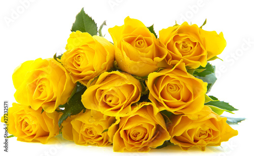 Yellow roses