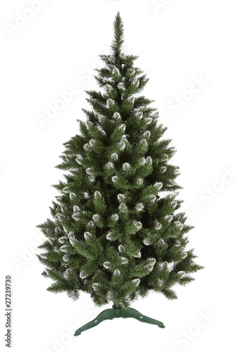 christmas pine tree isolated on white background © Burdoff