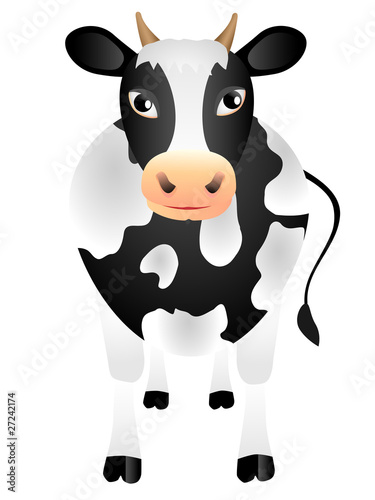 The black-and-white isolated cow