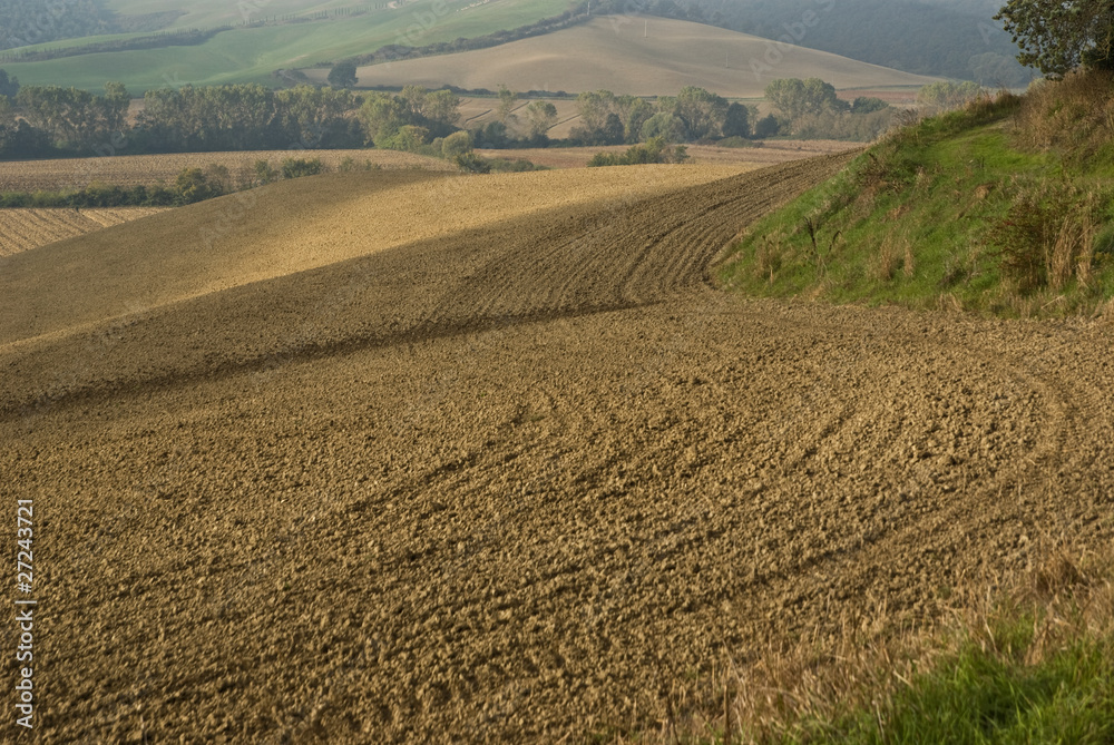 Paesaggio toscano, campi arati in val d'Orcia