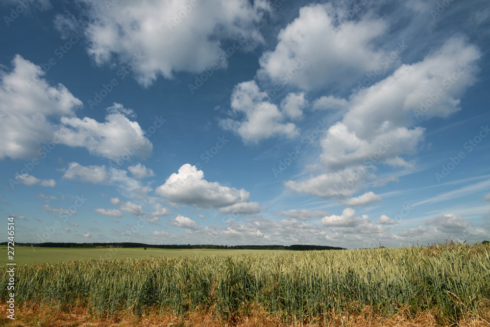 Fototapeta premium Himmel und Erde