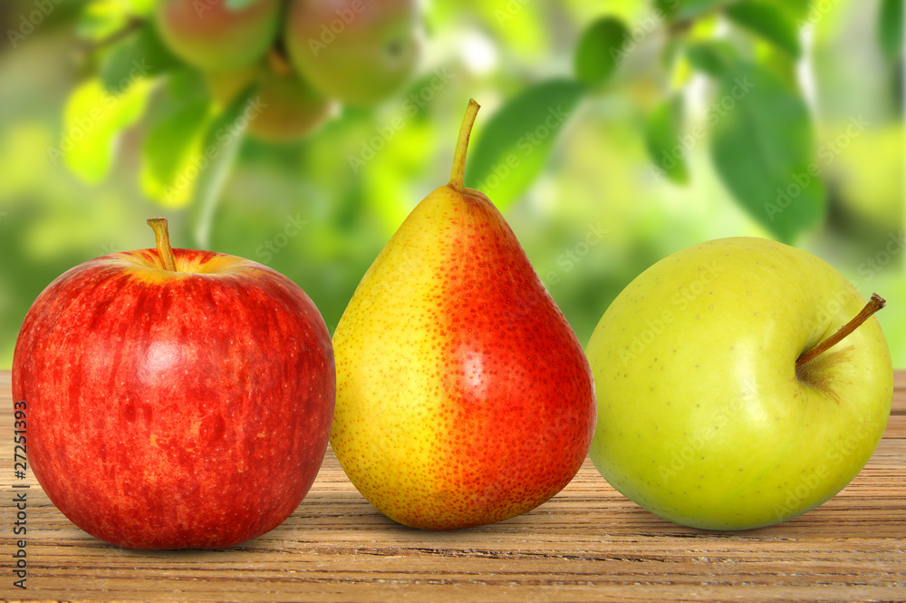 Obst 208 Obst 208