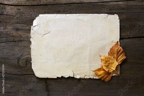 autumn leaves and old paper