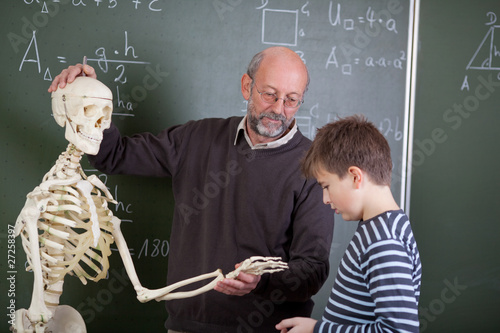 lehrer erklärt knochen am skelett photo