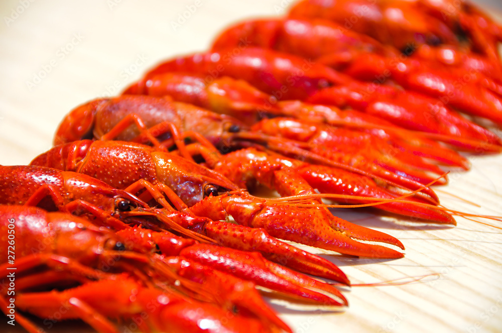 Crayfishes Crayfishes