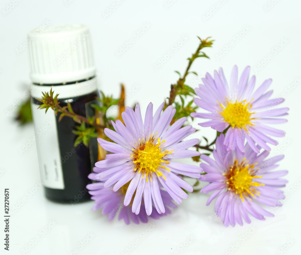 bottles of essential oil and flower bottles of essential oil and flower