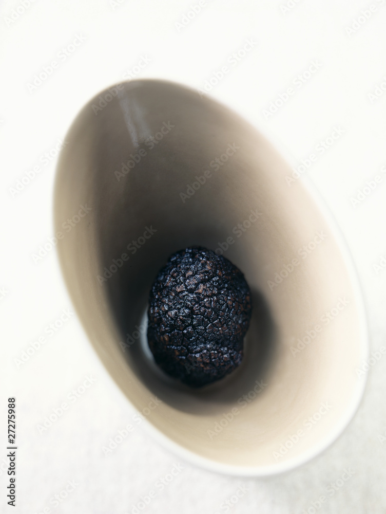 Εκτύπωση καμβά Truffes