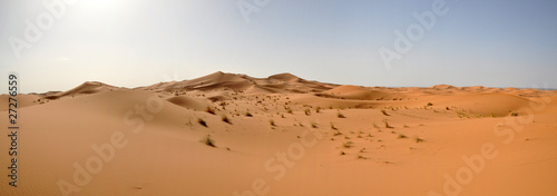 sahara