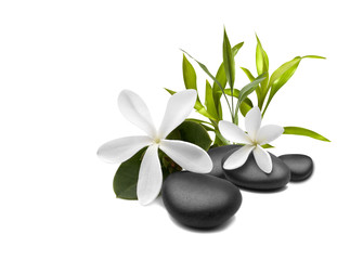 Wandcirkels Toilet Spa stilleven met witte bloemen  © Misha