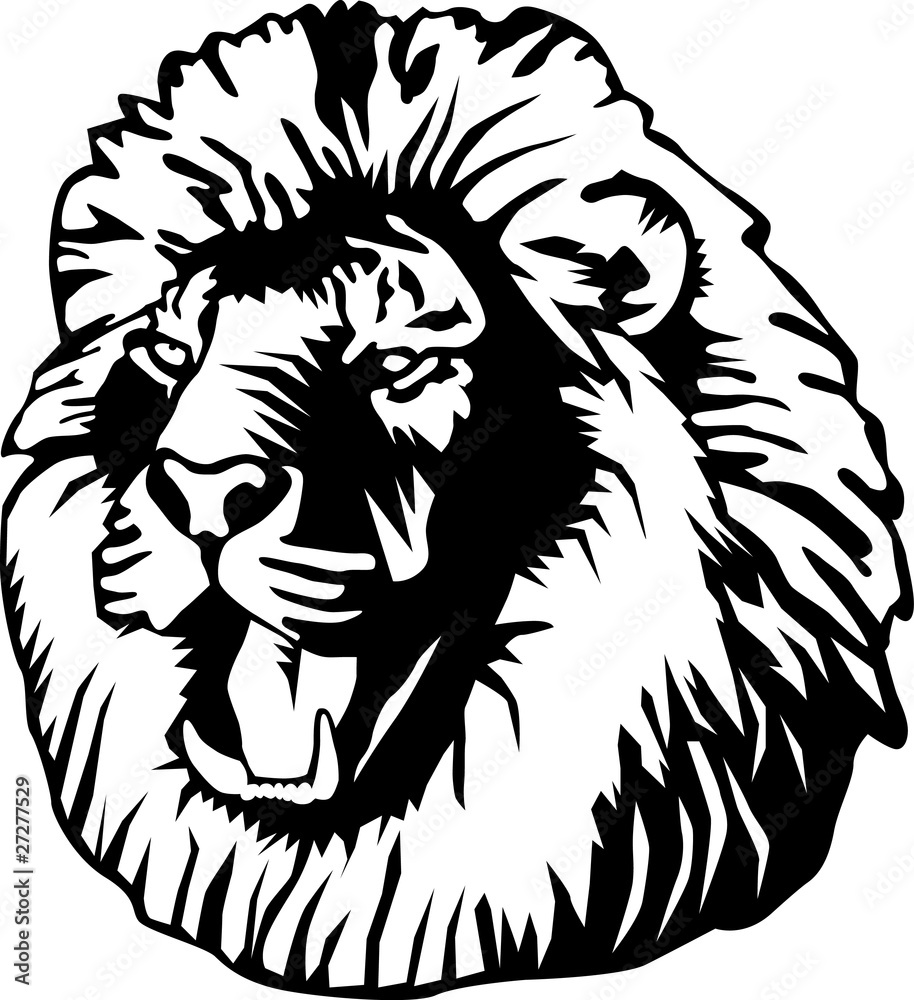 Fotografija Powerful lion's head