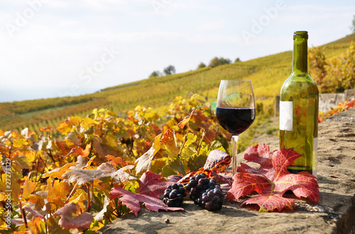 Fototapeta Naklejka Na Ścianę i Meble -  Glass of red wine in Lavaux region, Switzerland