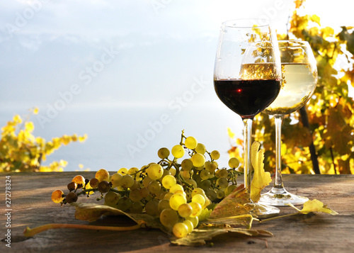 Pair of wineglasses. Lavaux region, Switzerland