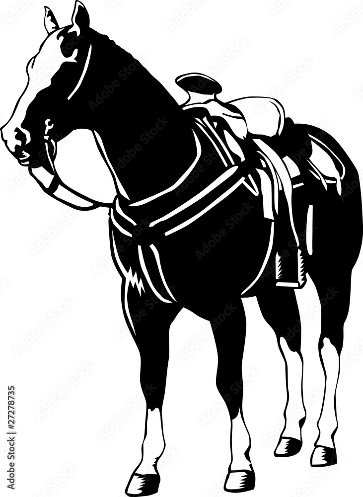 Obraz na plátně Standing horse