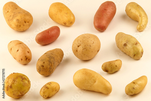 Assortiment de pommes de terre photo