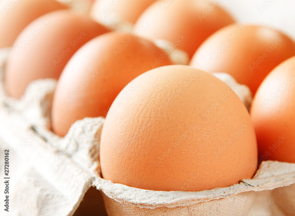 Chicken brown egg Chicken brown egg