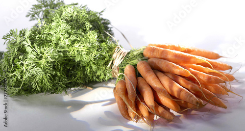 Fotografija jeunes carottes avec fanes