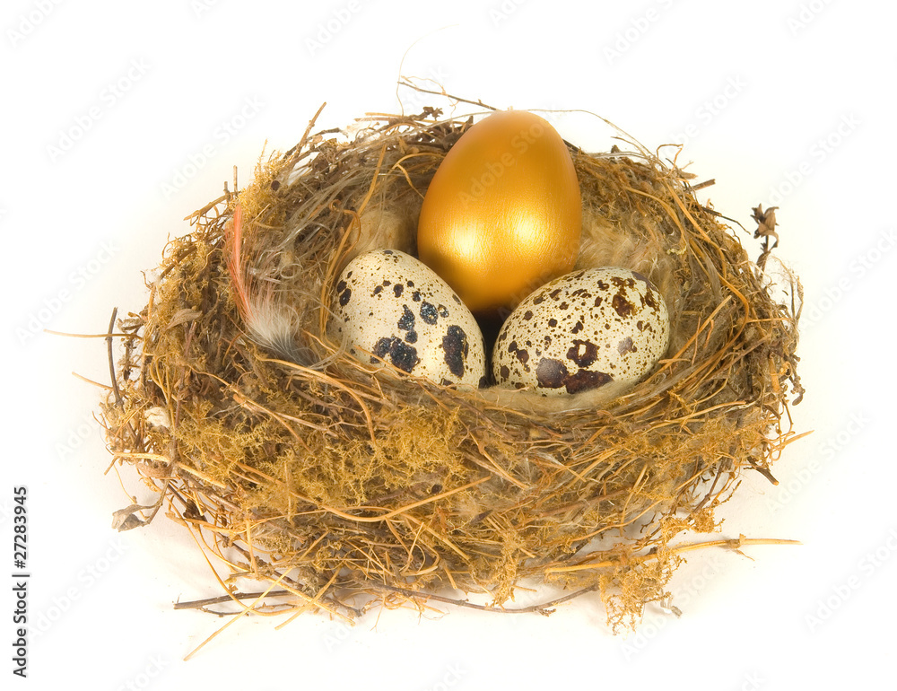 Obraz premium Nido con uovo d'oro