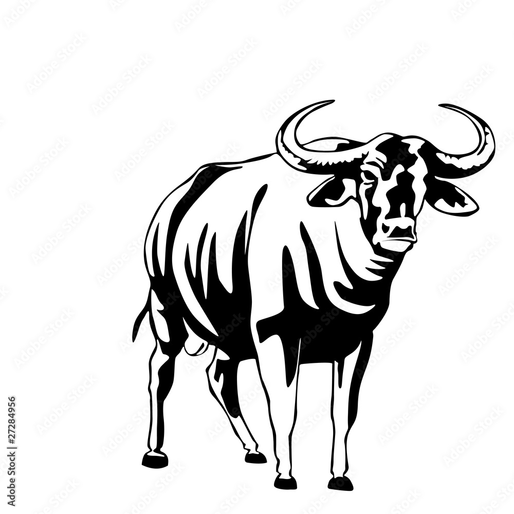 black and white indian bull vector illustration