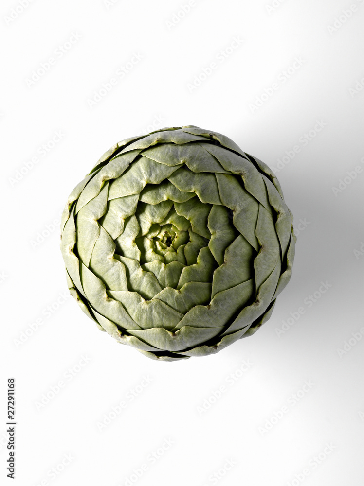 Fototapeta premium Artichaut