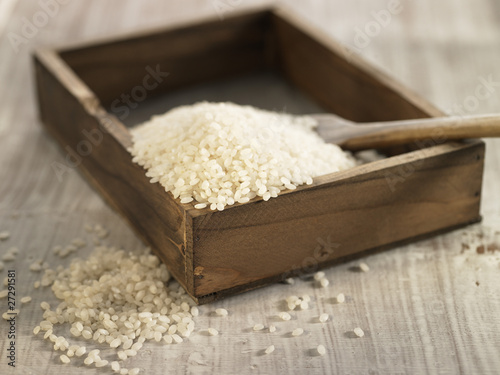 Tableau sur toile Riz bomba