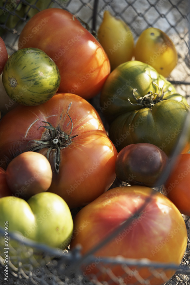 Assortiment de tomates Assortiment de tomates