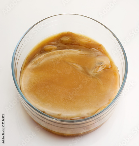 Fototapeta Naklejka Na Ścianę i Meble -  Kombucha