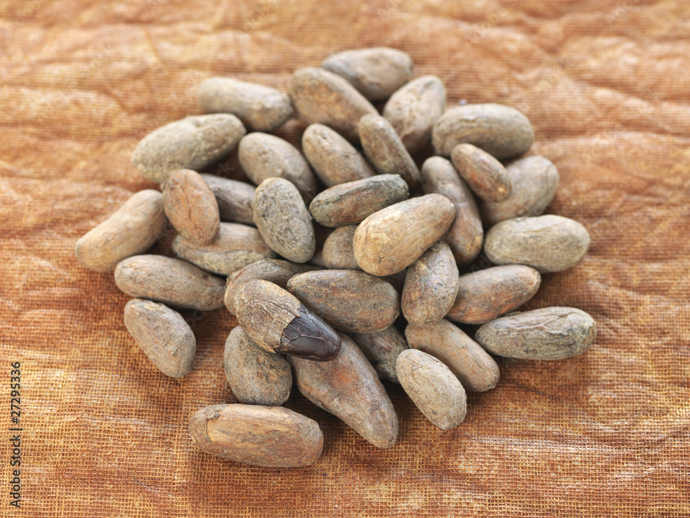 Tas de fèves de cacao Tas de fèves de cacao
