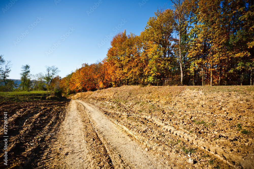 Countryside road through forest Countryside road through forest