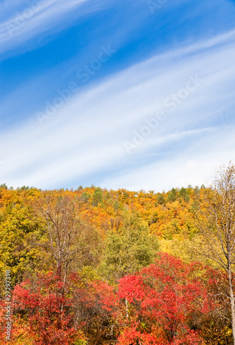 Fototapeta Naklejka Na Ścianę i Meble -  Autumn colors