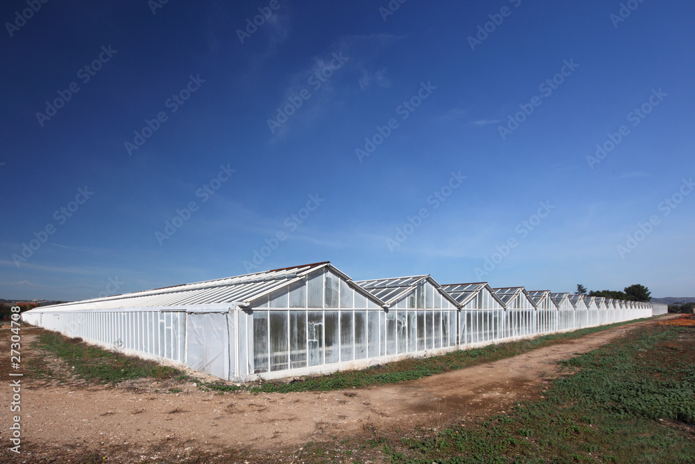 Agricultural greenhouse