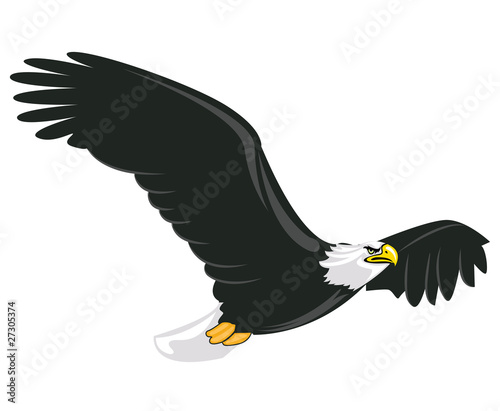 Illustration of majestic adult bald eagle flying