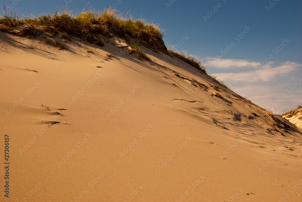Lonely Beach Dune