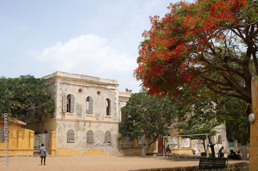 Obraz premium Ile de Goree Town