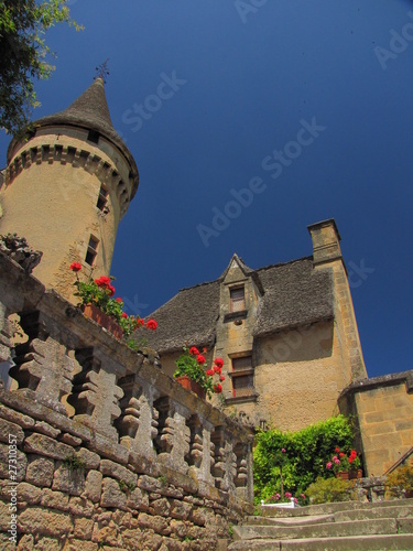 Château de Puymartin ; Périgord noir ; Aquitaine photo