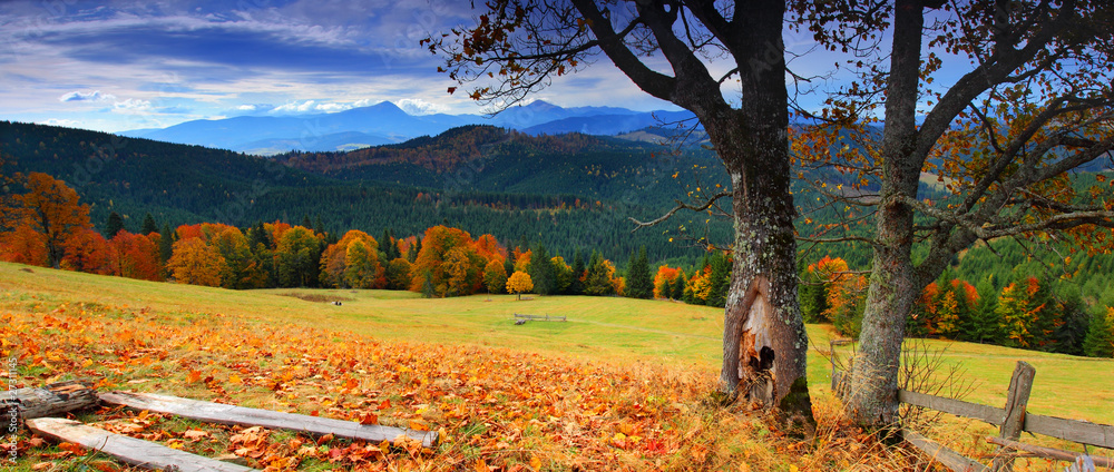 Obraz premium autumn landscape