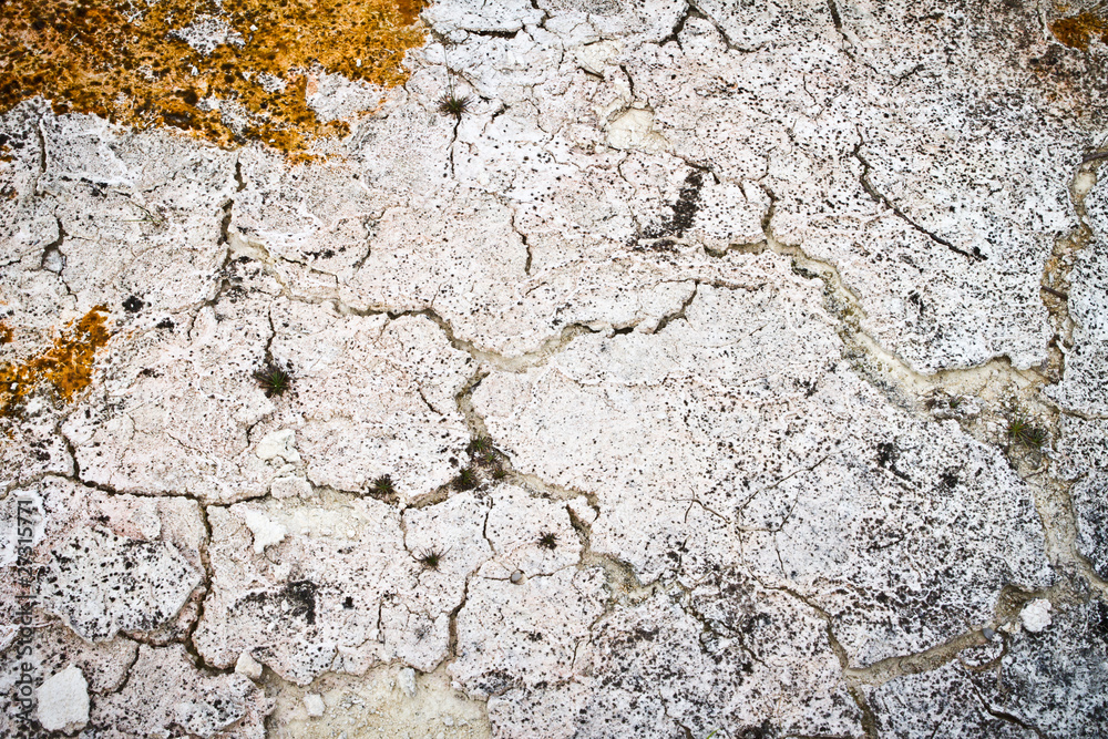 Soil texture Soil texture