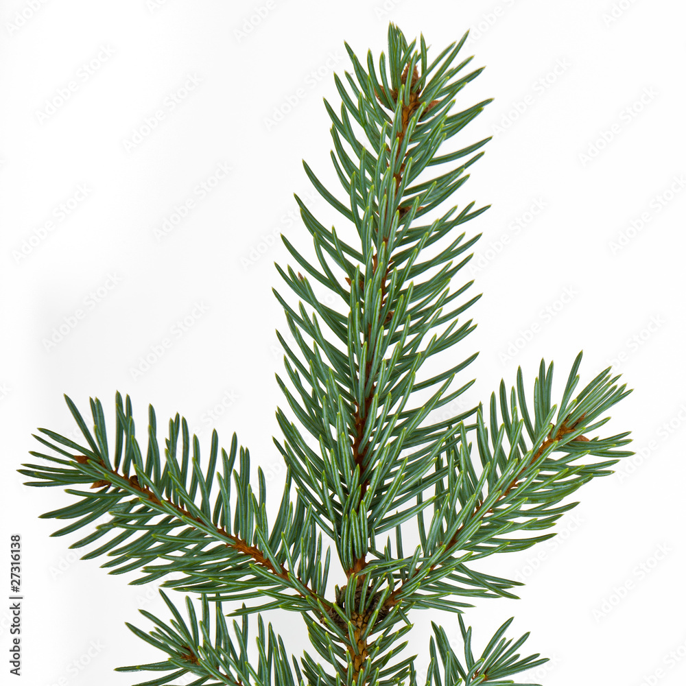 Christmas tree decoration Christmas tree decoration