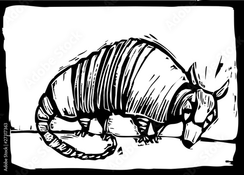 Armadillo