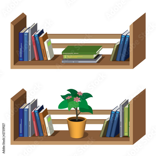 Shelf with books