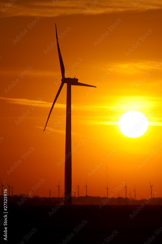 Obraz premium Wind farm at sunset